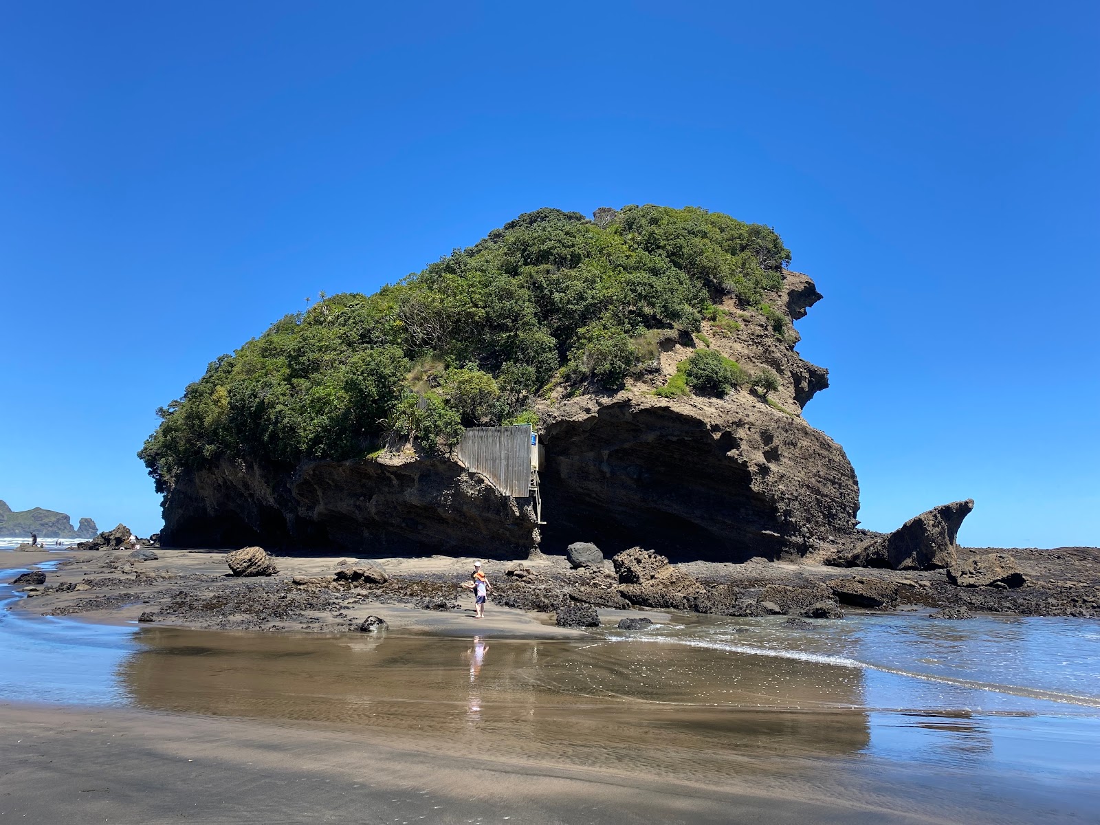 Foto de Te Henga Beach localizado em área natural