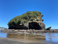 Foto de Te Henga Beach localizado em área natural