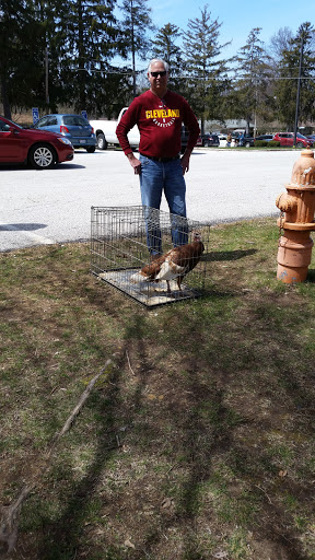 Park «North Olmsted Community Park», reviews and photos, 28114 Lorain Rd, North Olmsted, OH 44070, USA