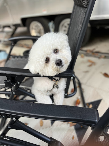 2156 Corporate Center Dr, Trinity, FL 34655, USA