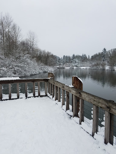 Park «Commonwealth Lake Park», reviews and photos, SW Butner Rd & SW Huntington Ave, Cedar Hills, OR 97225, USA