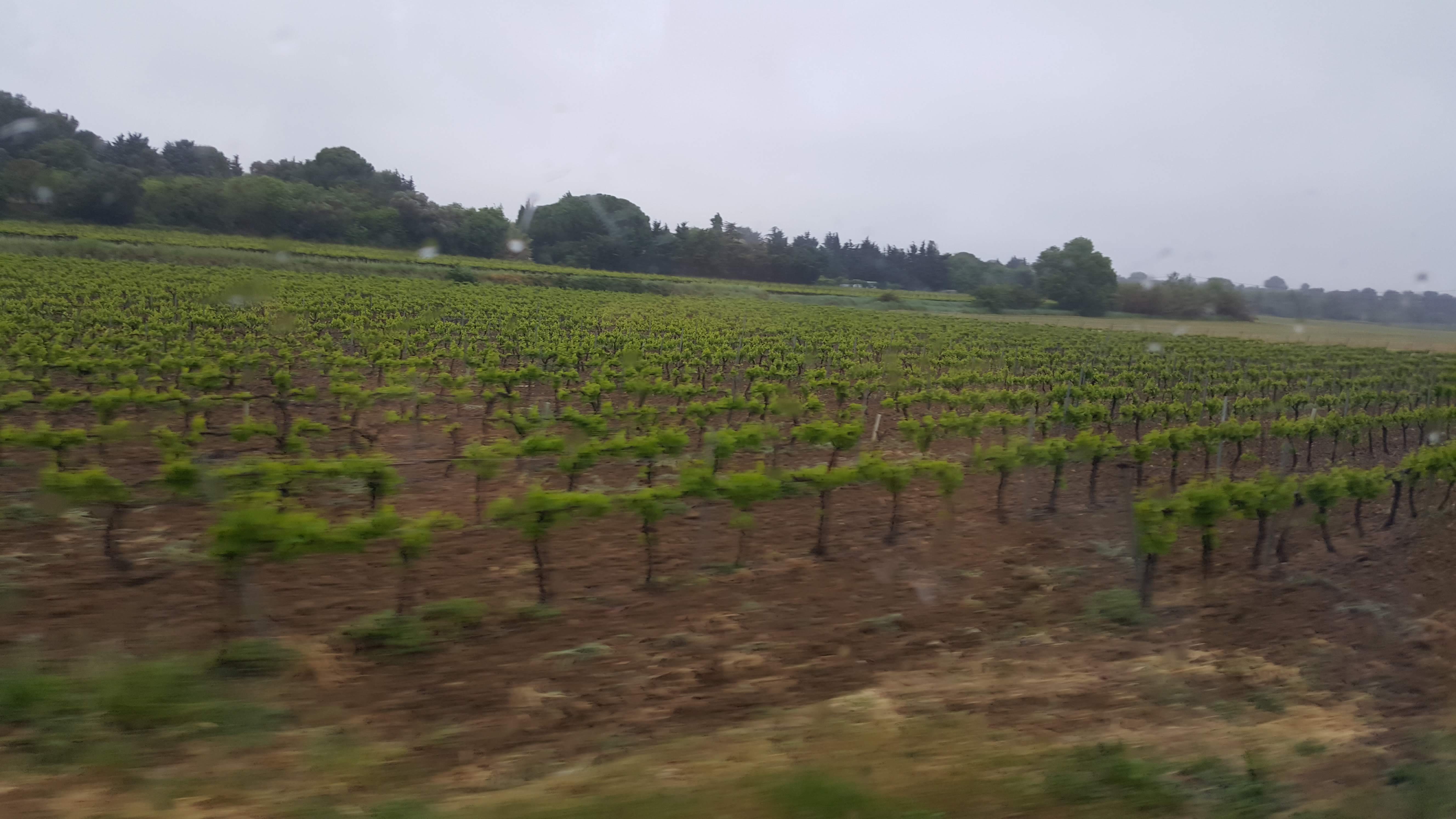 Photo n° 3 de l'avis de Laura.o fait le 31/05/2019 à 15:08