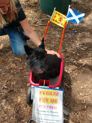 Community Center «Dunedin Community Center», reviews and photos, 1920 Pinehurst Rd, Dunedin, FL 34698, USA