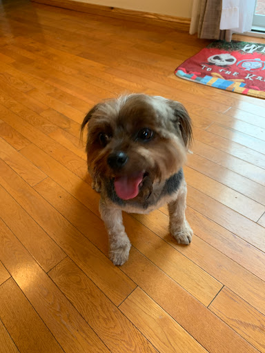 Pet Supply Store «PetSmart», reviews and photos, 10900 W Jefferson Blvd, Culver City, CA 90230, USA