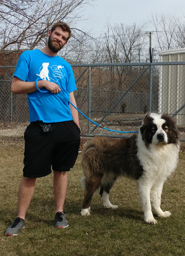 Animal Shelter «South Suburban Humane Society», reviews and photos