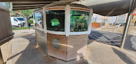Aquarium La Madrague Saint-Cyr-sur-Mer