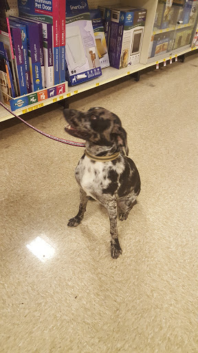 Pet Supply Store «PetSmart», reviews and photos, 150 Glynn Isle, Brunswick, GA 31525, USA