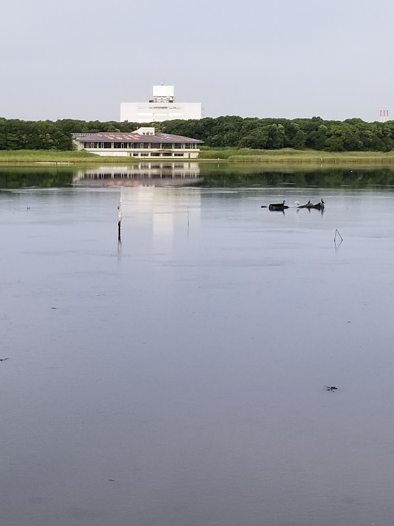 休憩広場 1（谷津干潟公園）