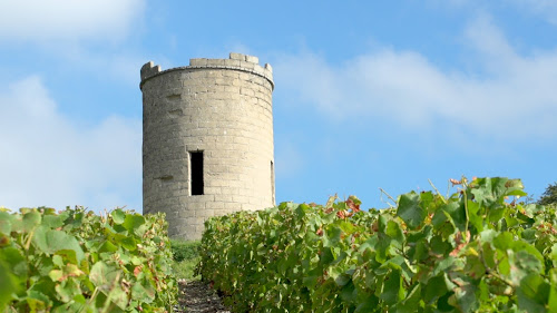 Champagne Demilly de Baere à Bligny