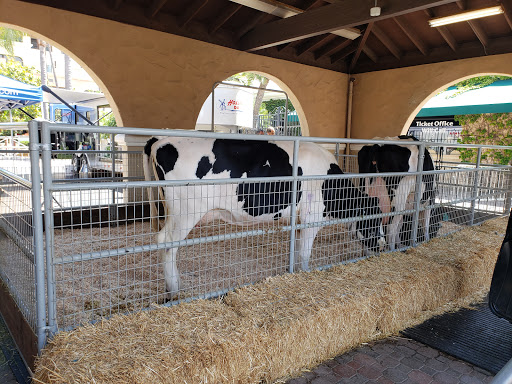 Fairground «Del Mar Fairgrounds», reviews and photos, 2260 Jimmy Durante Blvd, Del Mar, CA 92014, USA