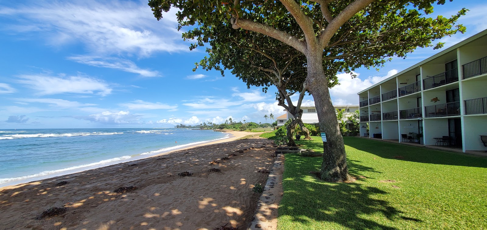 Foto af Hale'iwa Beach - populært sted blandt afslapningskendere