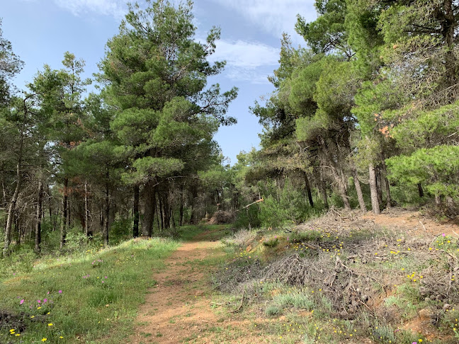 Comentarii opinii despre Άλσος Μοσχοποδίου