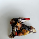 Photo n°1 de l'avis de Hella.e fait le 09/03/2023 à 20:42 sur le  Club Sport Fishing and Boating - Albufeira à Albufeira