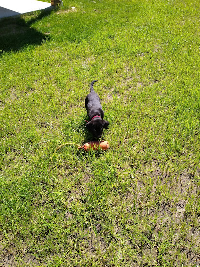 AF1QipO2A31pGjT4QGOpST8d6juMtcrGO7Ok7O2aokLB=w408-h544-k-no