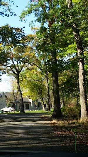 Thatcher Woods - photo 50