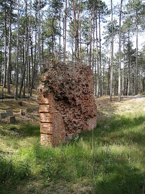 Ruins Of St. Nicholas Church