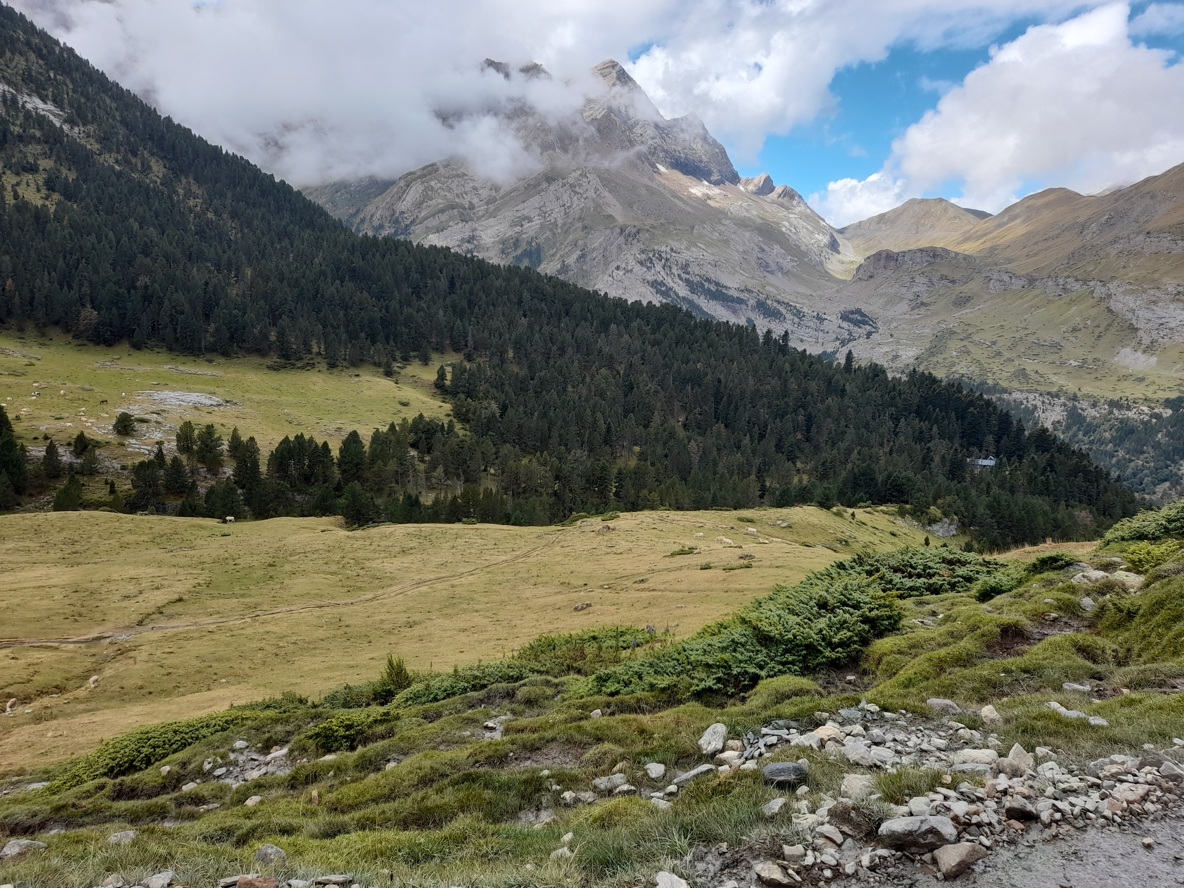 Photo n° 7 de l'avis de Jola.r fait le 29/08/2020 à 16:46