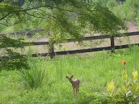 Student Learning Recovery Tutoring - Car repair in Holly Springs, NC, Cary - Rated 4.4/5