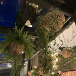 Photo n°6 de l'avis de camilla.a fait le 29/04/2022 à 08:25 sur le  Maré | cucina caffè spiaggia bottega à Milan