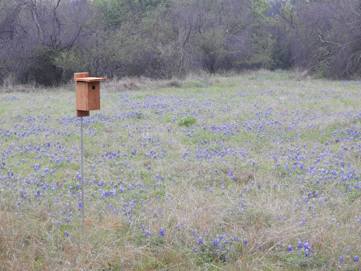 Nature Preserve «Warbler Woods», reviews and photos, 19349 Old Wiederstein Rd, Cibolo, TX 78108, USA