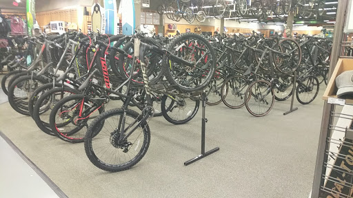 Camping Store «REI», reviews and photos, 200 Ridge Pike #115, Conshohocken, PA 19428, USA