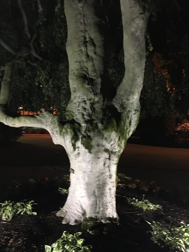 Country Club «Oak Hill Country Club», reviews and photos, 145 Kilbourn Rd, Rochester, NY 14618, USA