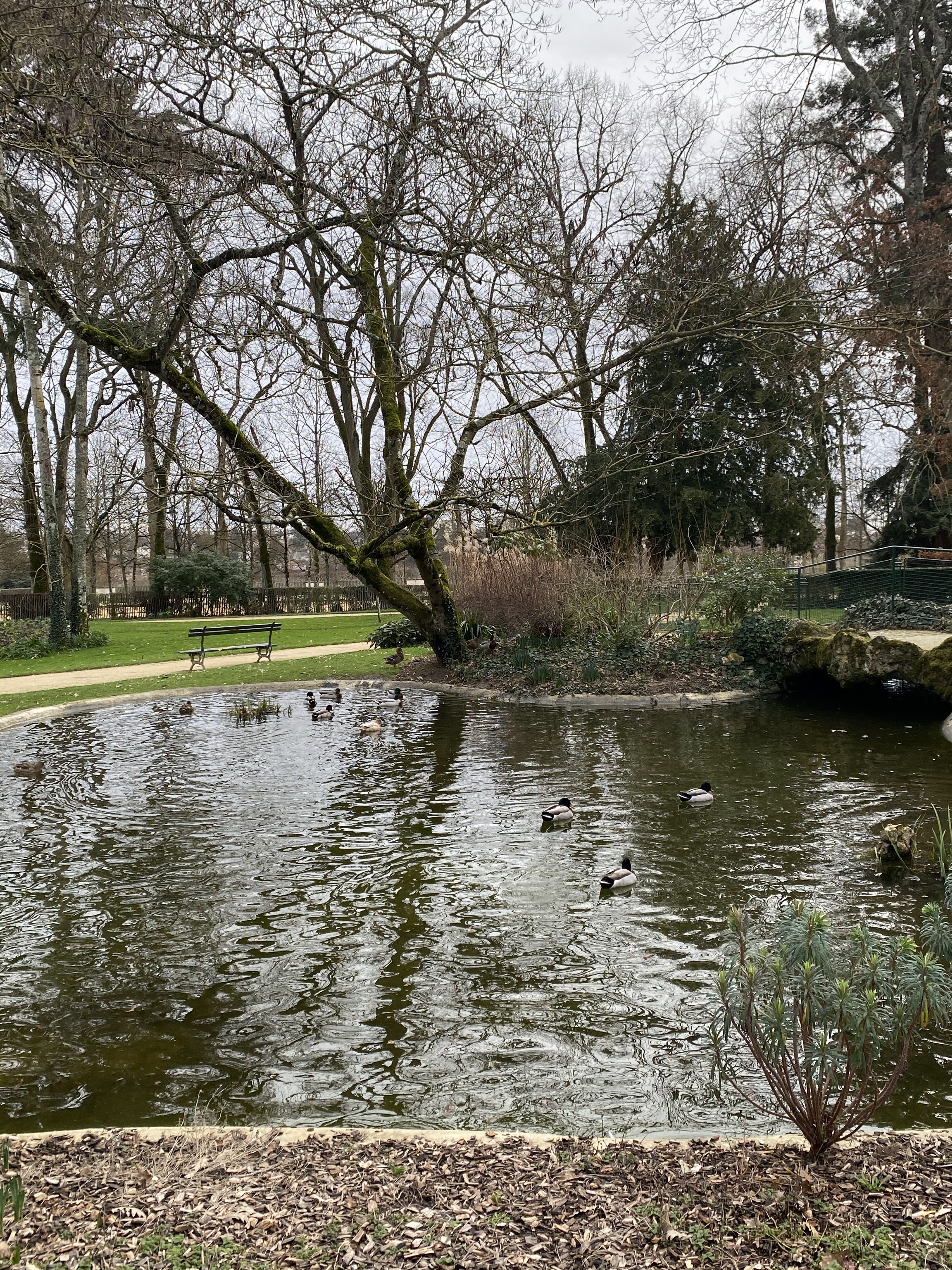 Photo n° 14 de l'avis de Marylène.u fait le 22/03/2022 à 17:15