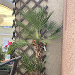 Photo n°8 de l'avis de sassy.a fait le 20/07/2022 à 10:19 sur le  Kräuterweible à Bad Wimpfen