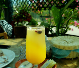 Riochia7 CEART photo