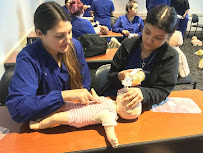 Concorde Career College - Grand Prairie - Photo 5 - Car repair in Grand Prairie, TX, Grand Prairie