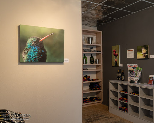 Winery «Carlson Creek Vineyard, Scottsdale Tasting Room», reviews and photos, 4142 N Marshall Way, Scottsdale, AZ 85251, USA