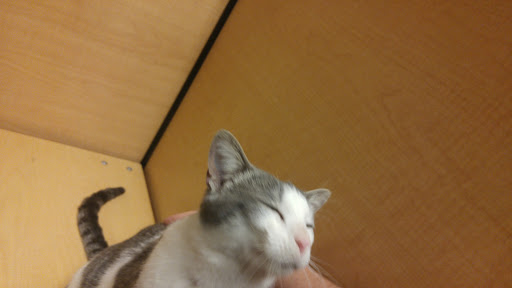 Pet Supply Store «PetSmart», reviews and photos, 1042 Fairplain Dr, Benton Harbor, MI 49022, USA