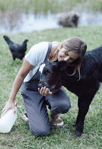 New Media Cinema Photography - Photo 2 - Car repair in , Deltona