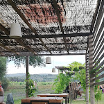 Photo n°3 de l'avis de Monica.a fait le 09/01/2024 à 21:10 sur le  Bolgheri Green à Castagneto Carducci