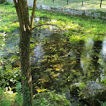 Photo n°5 de l'avis de giuseppe.i fait le 19/09/2019 à 10:03 sur le  Parco Del Grassano Ristorante à San Salvatore Telesino