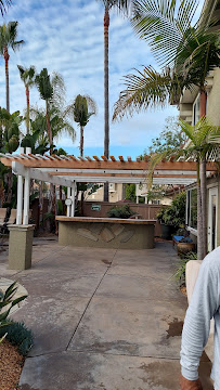 Rubbo Termite - Photo 9 - Car repair in Carlsbad, CA, Oceanside