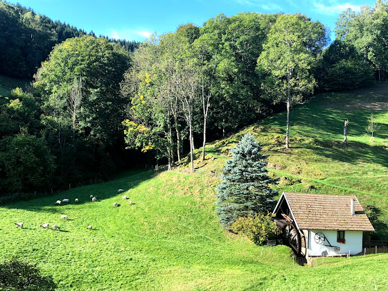 Photo hôtels Adamweberhof Ferienwohnung 79254 Oberried