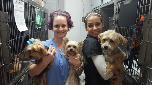 Forest Acres Animal Hospital image