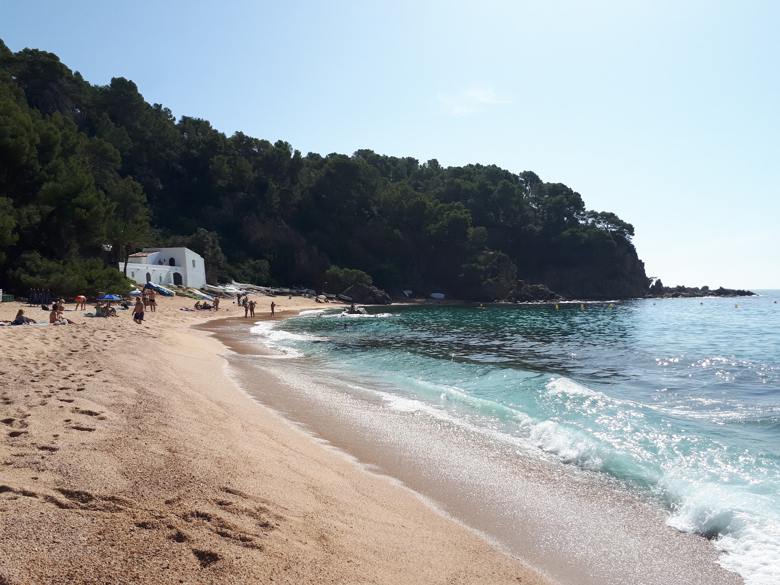 Photo de Plage de Canyelles zone des équipements