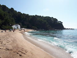 Photo de Plage de Canyelles zone des équipements