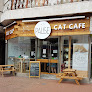 Pause Cat Café