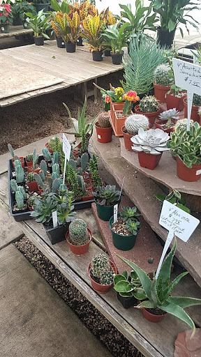 Florist «Platte Floral», reviews and photos, 1417 E Platte Ave, Colorado Springs, CO 80909, USA