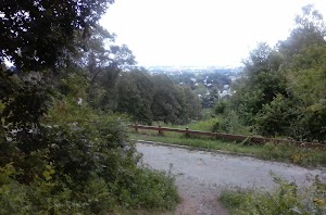 Neutaconkanut Hill Conservancy - photo 35