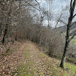 Photo n°10 de l'avis de José.n fait le 09/04/2023 à 15:07 sur le  Elzland Hotel Pfauen GmbH à Elzach