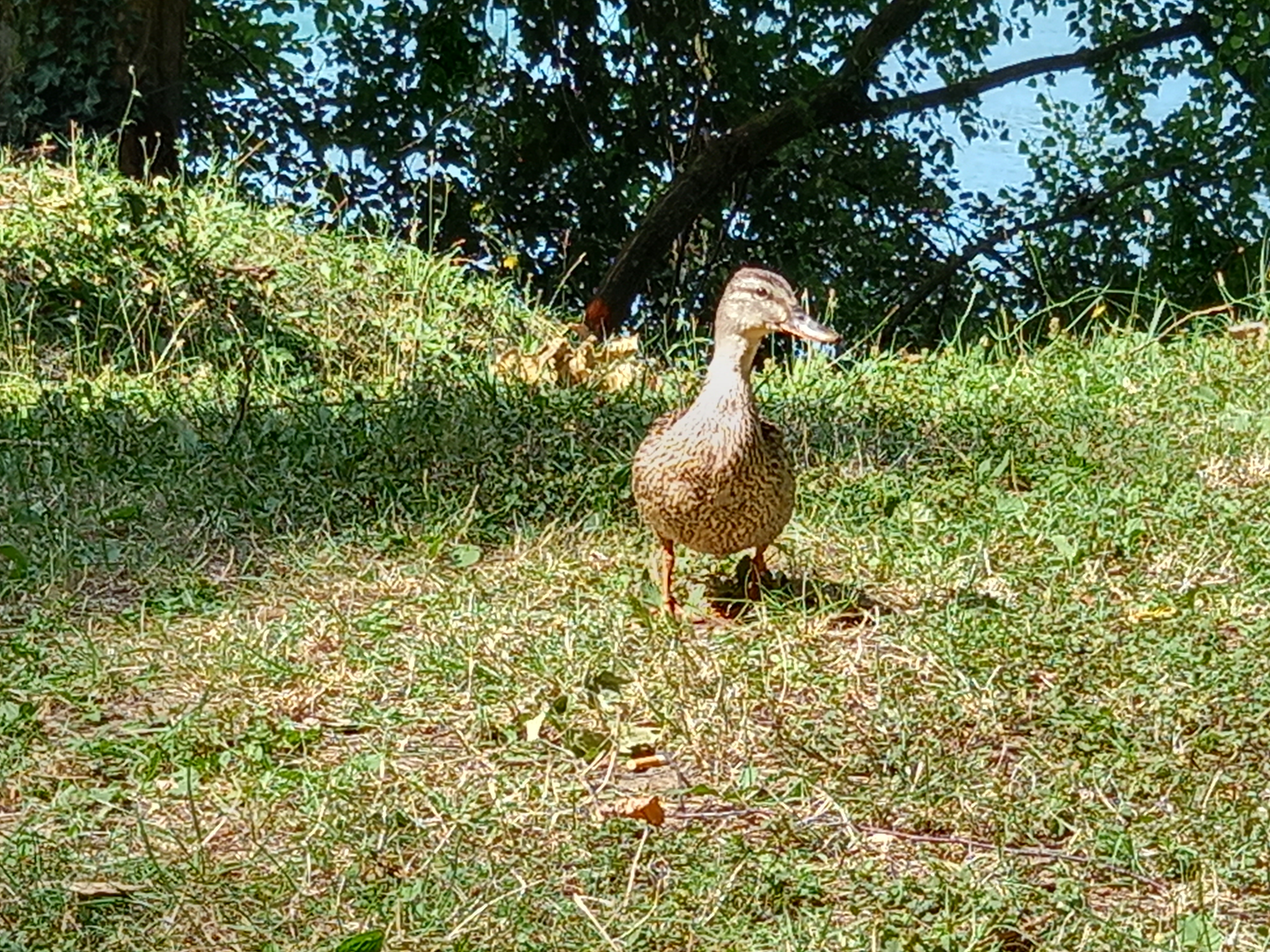 Photo n° 1 de l'avis de Claire.i fait le 16/07/2023 à 15:31