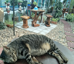 หม่อง ชิว ชิว การ์เด้น คาเฟ่ photo