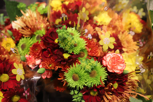 Grocery Store «Food Lion», reviews and photos, 304 S Broadway, Portland, TN 37148, USA