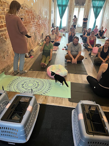Anarchy Yoga, photo 4