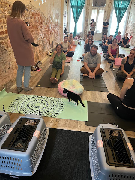 Anarchy Yoga, photo 4