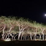 Photo n°10 de l'avis de Gustavo.l fait le 09/07/2022 à 23:38 sur le  Hapimag Resort Albufeira à Albufeira